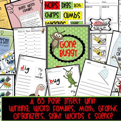 Insect Science Activities - Tunstall's Teaching Tidbits