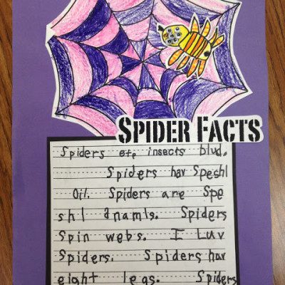 Spider Week and Visual Plans