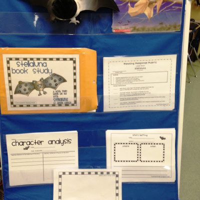 Our Bat Book Study