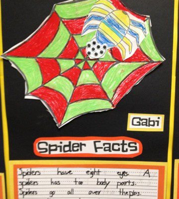 Spider Art and Writing