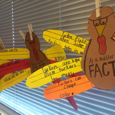 Nerdy Birdy!  Turkey FACTS