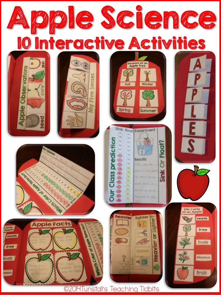 http://www.teacherspayteachers.com/Product/Apple-Science-Interactive-Activities-1444752