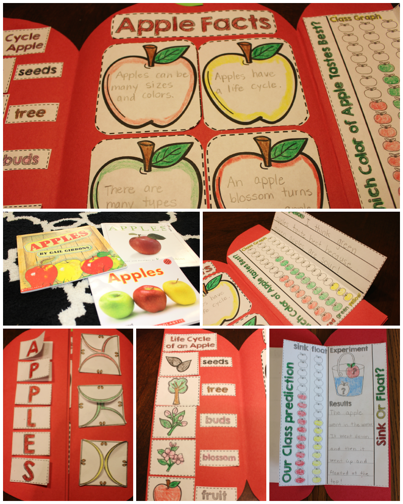 http://www.teacherspayteachers.com/Product/Apple-Science-Interactive-Activities-1444752