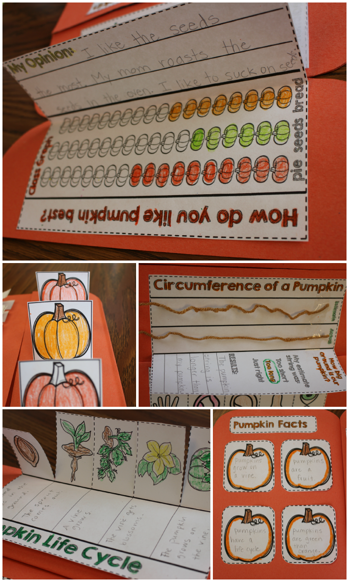 Prepping for Pumpkin Season - Tunstall's Teaching Tidbits