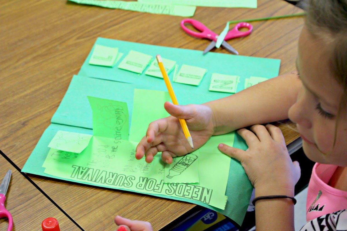 https://www.teacherspayteachers.com/Product/Living-and-Non-Living-Interactive-Activities-1775946