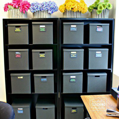 Organizing the Elementary Classroom!