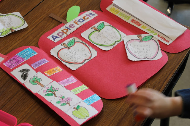 https://www.teacherspayteachers.com/Product/Apple-Science-Interactive-Activities-1444752