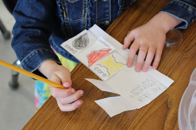 https://www.teacherspayteachers.com/Product/Apple-Science-Interactive-Activities-1444752