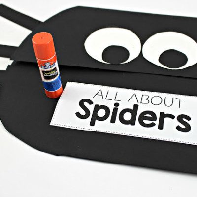 Spider Science Booklet