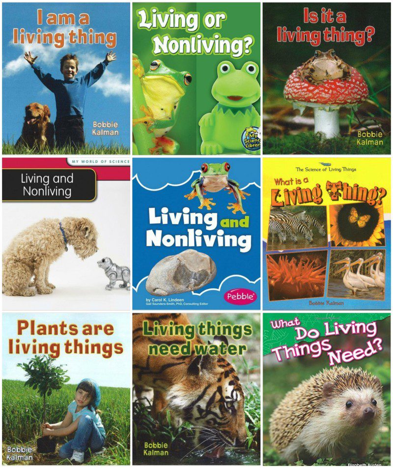 PicMonkey Collage living things