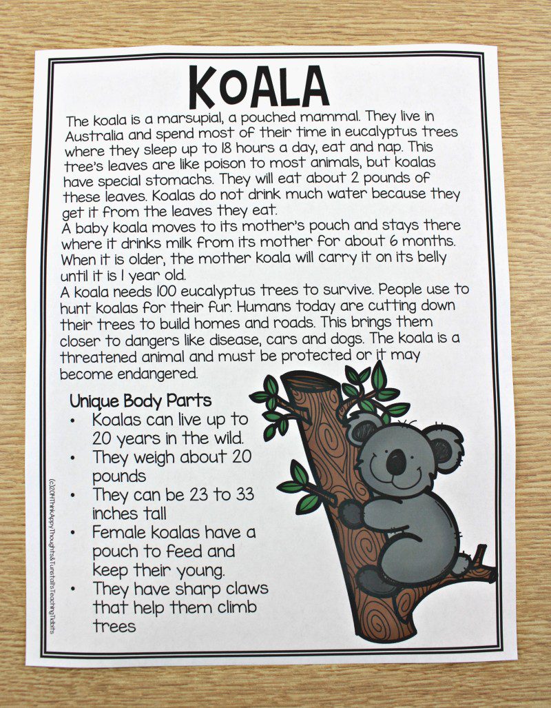 Animal Research Creating an eBook - Tunstall's Teaching Tidbits Animal Research Creating an eBook - Tunstall's Teaching Tidbits