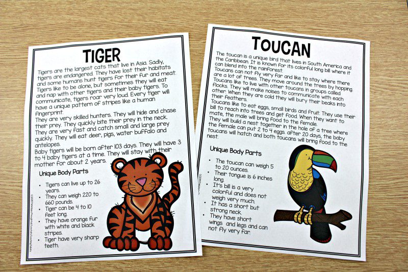Animal Research Creating an eBook - Tunstall's Teaching Tidbits Animal Research Creating an eBook - Tunstall's Teaching Tidbits