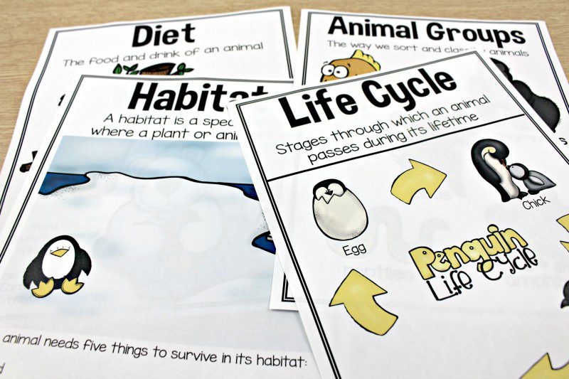 Animal Research Creating an eBook - Tunstall's Teaching Tidbits