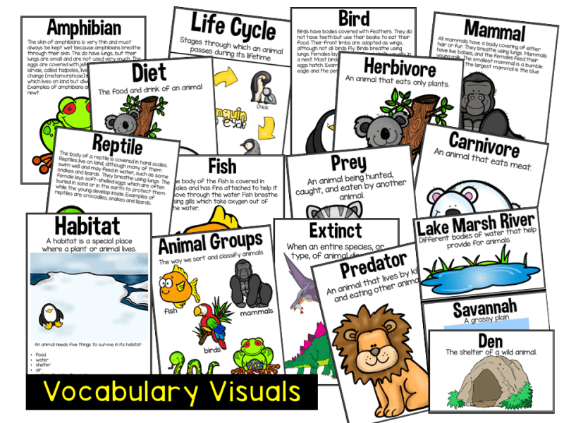 Animal Research Creating an eBook - Tunstall's Teaching Tidbits Animal Research Creating an eBook - Tunstall's Teaching Tidbits