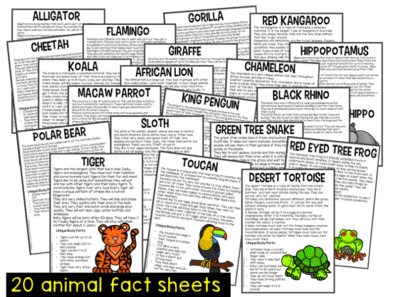 Animal Research Creating an eBook - Tunstall's Teaching Tidbits Animal Research Creating an eBook - Tunstall's Teaching Tidbits