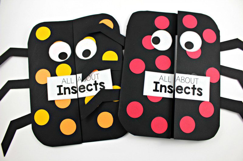 insect science summer science