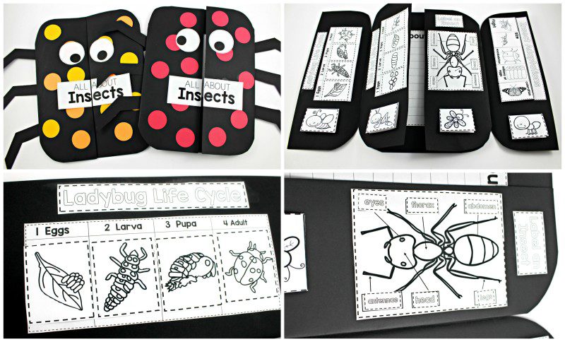 PicMonkey Collage