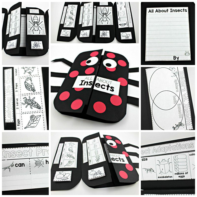 PicMonkey Collage2