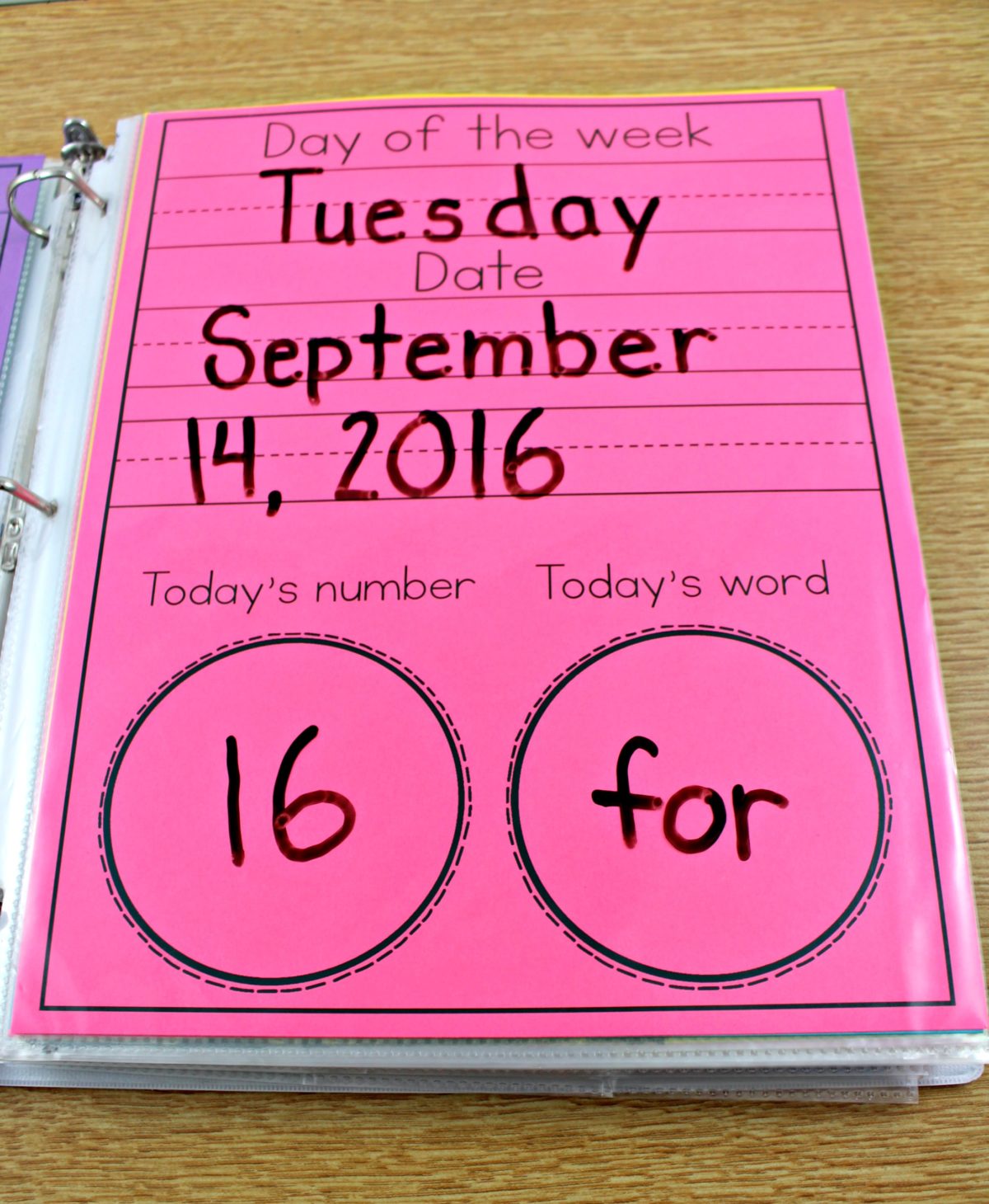 Rise and shine essay picture