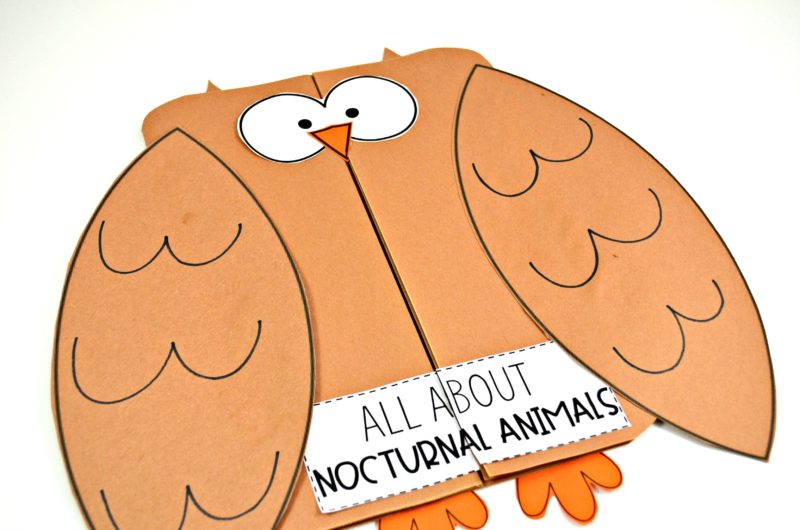 Owls and Other Nocturnal Animals - Tunstall's Teaching Tidbits