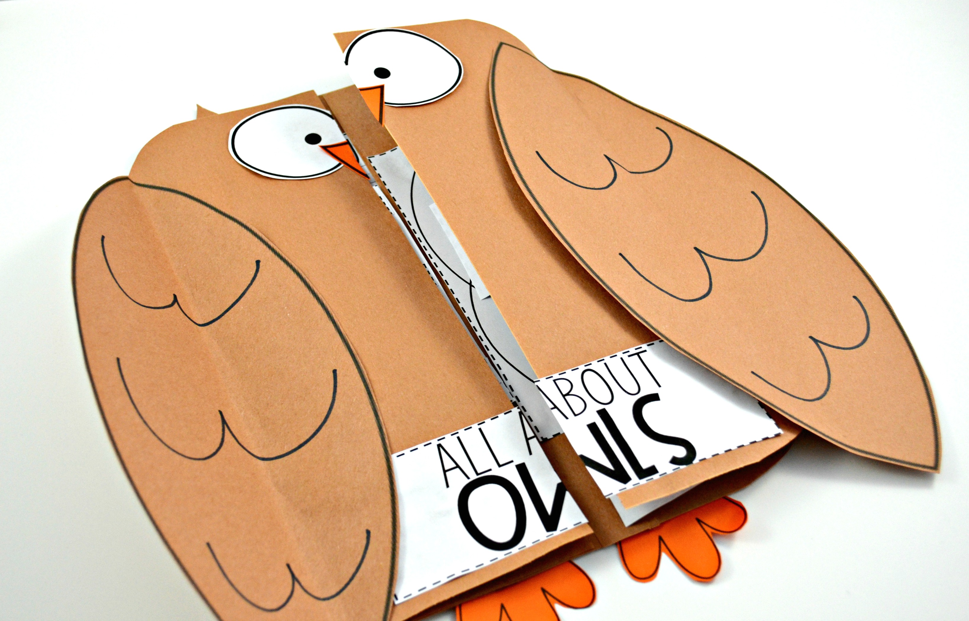 Owls and Other Nocturnal Animals - Tunstall's Teaching Tidbits Owls and Other Nocturnal Animals - Tunstall's Teaching Tidbits