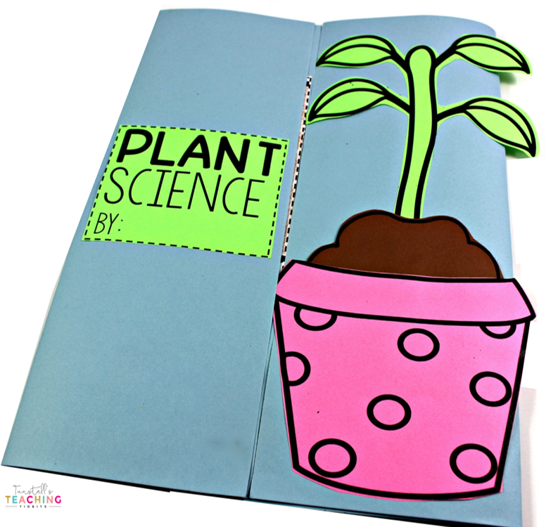 This unit provides interactive science activities to teach all about plants! Fill your own science notebook or create a 3-dimensional plant science book full of interactive hands on science lessons on parts of a plant, plant life cycle, plant needs, and more! These lap book foldables make for great STEM resources for kindergarten, first, and second grade. To learn more about "Interactive Plant Science", visit www.tunstallsteachingtidbits.com 