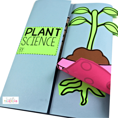 Interactive Plant Science