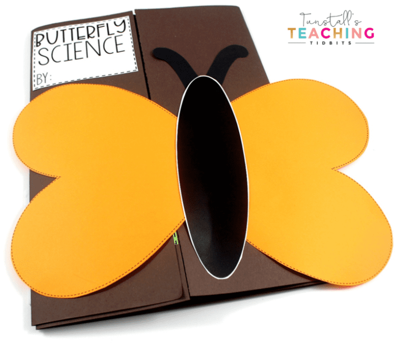 This interactive butterfly science unit provides interactive activities to teach all about butterflies! Fill a science notebook or create a 3-dimensional butterfly science book with interactive, hands on science lessons on parts of a butterfly, butterfly life cycle, butterfly facts, adaptations, butterfly experiment, & more! This lap book foldable makes a great STEM resource for kindergarten, first, & second grade. To learn more about "Butterfly Interactive Science", visit www.tunstallsteachingtidbits.com