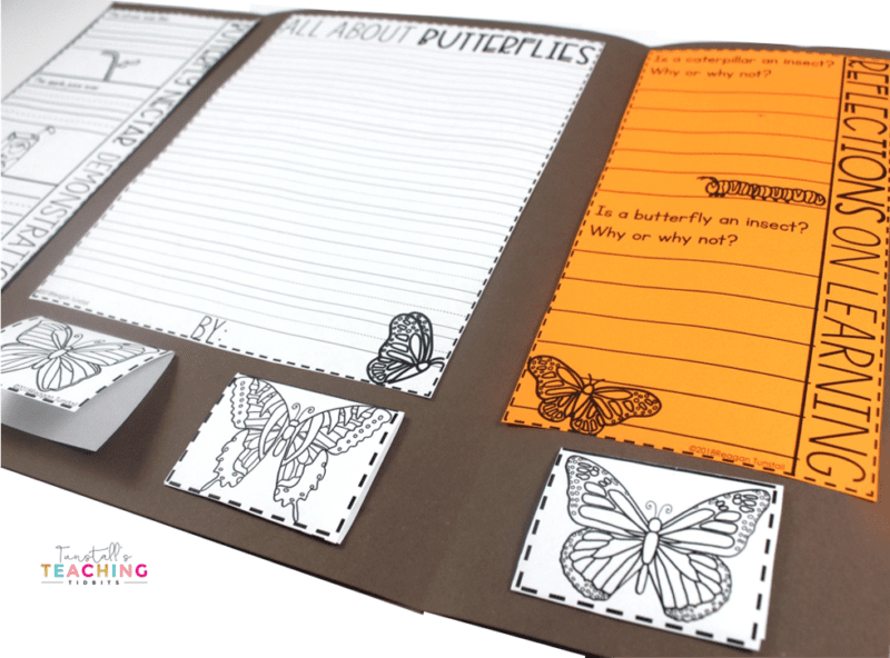 This interactive butterfly science unit provides interactive activities to teach all about butterflies! Fill a science notebook or create a 3-dimensional butterfly science book with interactive, hands on science lessons on parts of a butterfly, butterfly life cycle, butterfly facts, adaptations, butterfly experiment, & more! This lap book foldable makes a great STEM resource for kindergarten, first, & second grade. To learn more about "Butterfly Interactive Science", visit www.tunstallsteachingtidbits.com