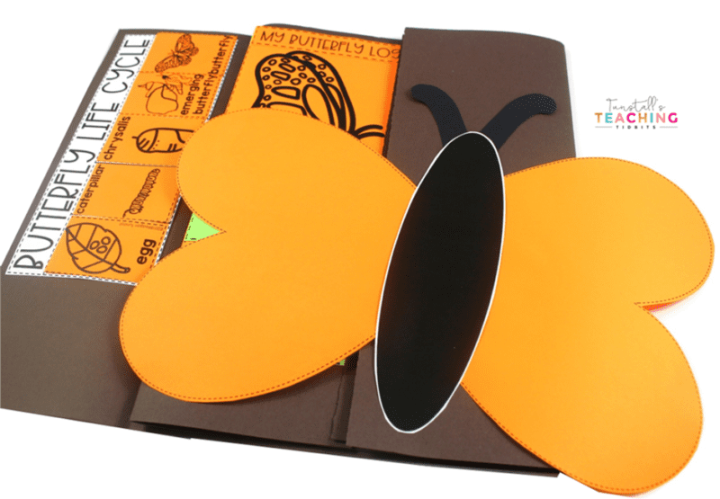 This interactive butterfly science unit provides interactive activities to teach all about butterflies! Fill a science notebook or create a 3-dimensional butterfly science book with interactive, hands on science lessons on parts of a butterfly, butterfly life cycle, butterfly facts, adaptations, butterfly experiment, & more! This lap book foldable makes a great STEM resource for kindergarten, first, & second grade. To learn more about "Butterfly Interactive Science", visit www.tunstallsteachingtidbits.com