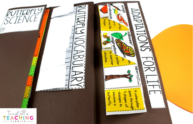 This interactive butterfly science unit provides interactive activities to teach all about butterflies! Fill a science notebook or create a 3-dimensional butterfly science book with interactive, hands on science lessons on parts of a butterfly, butterfly life cycle, butterfly facts, adaptations, butterfly experiment, & more! This lap book foldable makes a great STEM resource for kindergarten, first, & second grade. To learn more about "Butterfly Interactive Science", visit www.tunstallsteachingtidbits.com