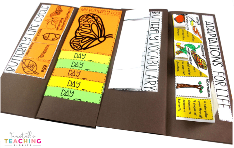 This interactive butterfly science unit provides interactive activities to teach all about butterflies! Fill a science notebook or create a 3-dimensional butterfly science book with interactive, hands on science lessons on parts of a butterfly, butterfly life cycle, butterfly facts, adaptations, butterfly experiment, & more! This lap book foldable makes a great STEM resource for kindergarten, first, & second grade. To learn more about "Butterfly Interactive Science", visit www.tunstallsteachingtidbits.com