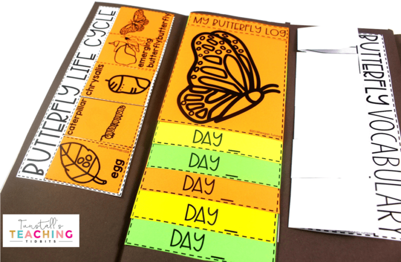 This interactive butterfly science unit provides interactive activities to teach all about butterflies! Fill a science notebook or create a 3-dimensional butterfly science book with interactive, hands on science lessons on parts of a butterfly, butterfly life cycle, butterfly facts, adaptations, butterfly experiment, & more! This lap book foldable makes a great STEM resource for kindergarten, first, & second grade. To learn more about "Butterfly Interactive Science", visit www.tunstallsteachingtidbits.com