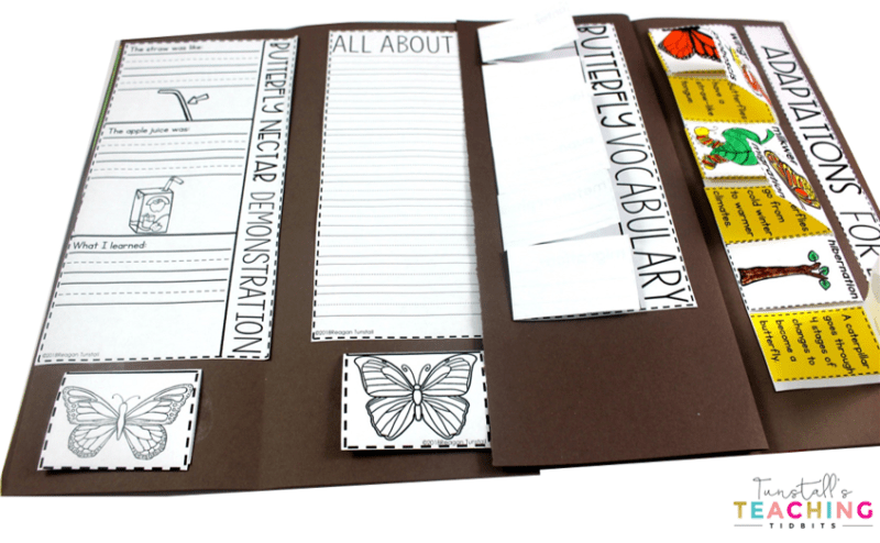 This interactive butterfly science unit provides interactive activities to teach all about butterflies! Fill a science notebook or create a 3-dimensional butterfly science book with interactive, hands on science lessons on parts of a butterfly, butterfly life cycle, butterfly facts, adaptations, butterfly experiment, & more! This lap book foldable makes a great STEM resource for kindergarten, first, & second grade. To learn more about "Butterfly Interactive Science", visit www.tunstallsteachingtidbits.com