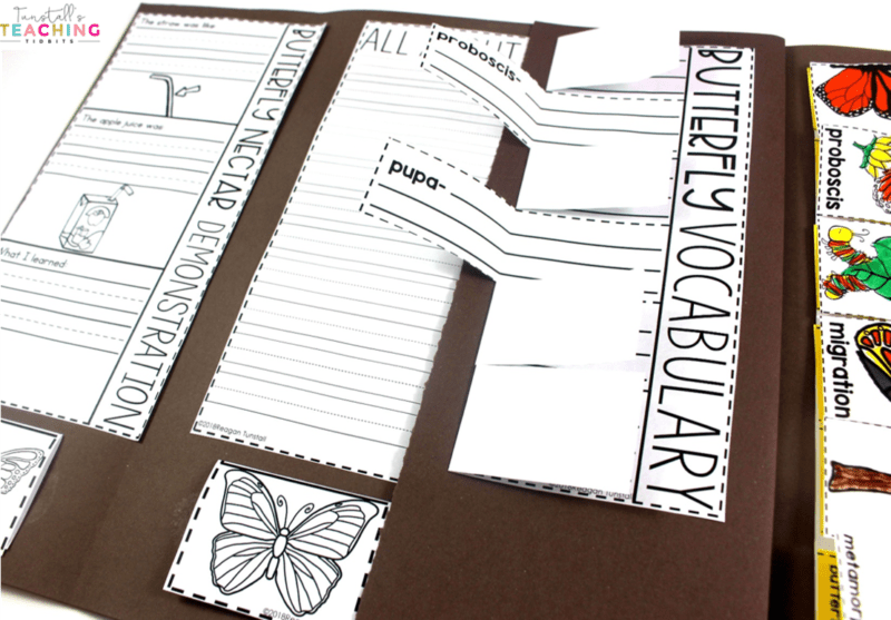 This interactive butterfly science unit provides interactive activities to teach all about butterflies! Fill a science notebook or create a 3-dimensional butterfly science book with interactive, hands on science lessons on parts of a butterfly, butterfly life cycle, butterfly facts, adaptations, butterfly experiment, & more! This lap book foldable makes a great STEM resource for kindergarten, first, & second grade. To learn more about "Butterfly Interactive Science", visit www.tunstallsteachingtidbits.com