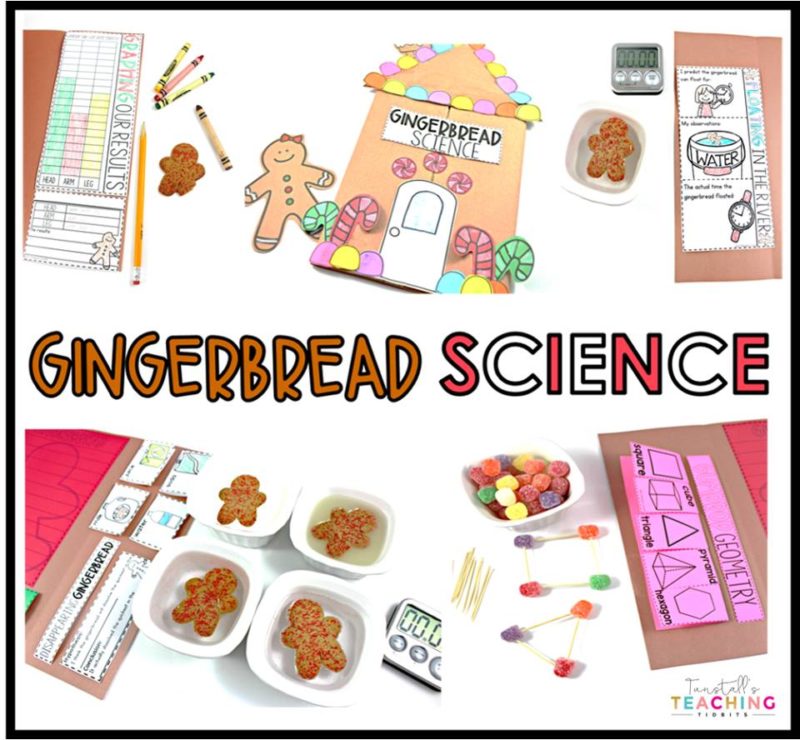 Staying on track with teaching in December. Gingerbread Science This STEM gingerbread unit incorporates science, math, and literacy into a fun holiday unit. Students learn all about gingerbread, conduct gingerbread science experiments, explore the five senses, and even write about gingerbread. 