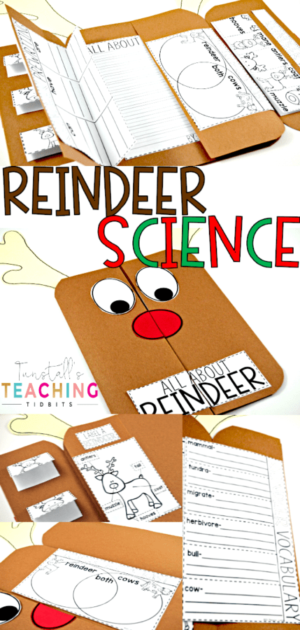 Reindeer Science Learn all about reindeer and caribou with this non-fiction holiday science flip book! Learn reindeer facts, attributes, true/false statements, and write all about reindeer. An integrated unit that ties whimsical with real-life. 