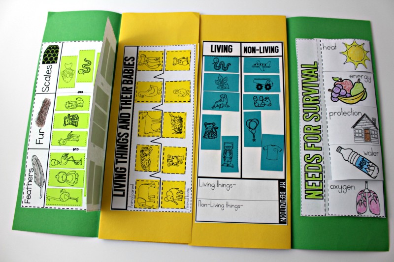 summer science living things