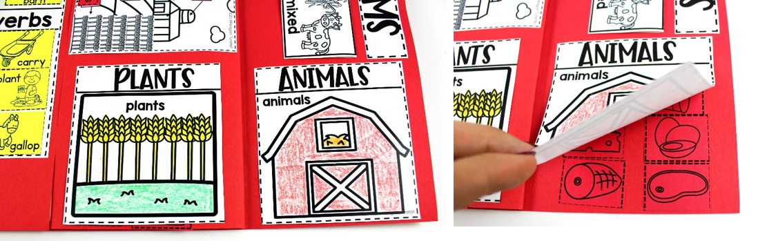 Farm Animals