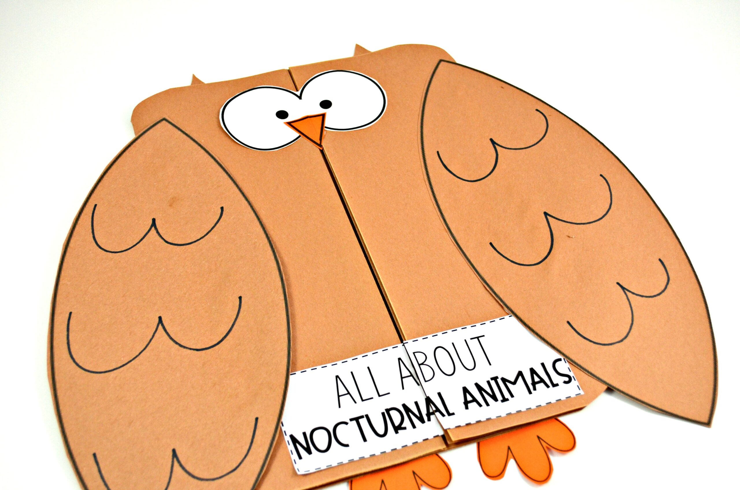 nocturnal animals owls