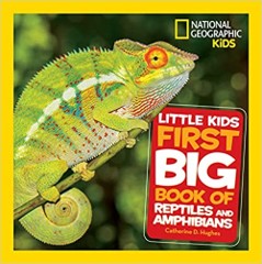 book of frogs