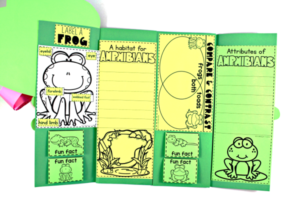 Amphibians and Frogs Science