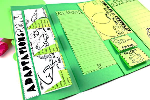 Frogs Booklet