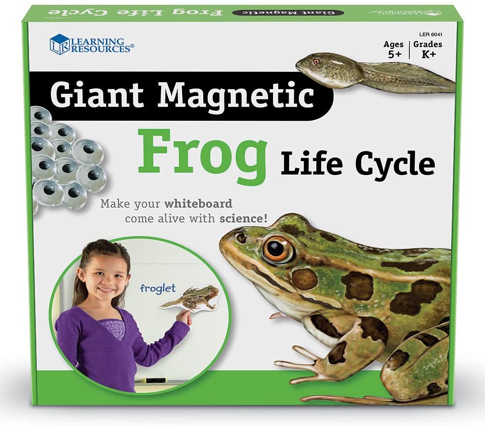 Frogs and Amphibians
