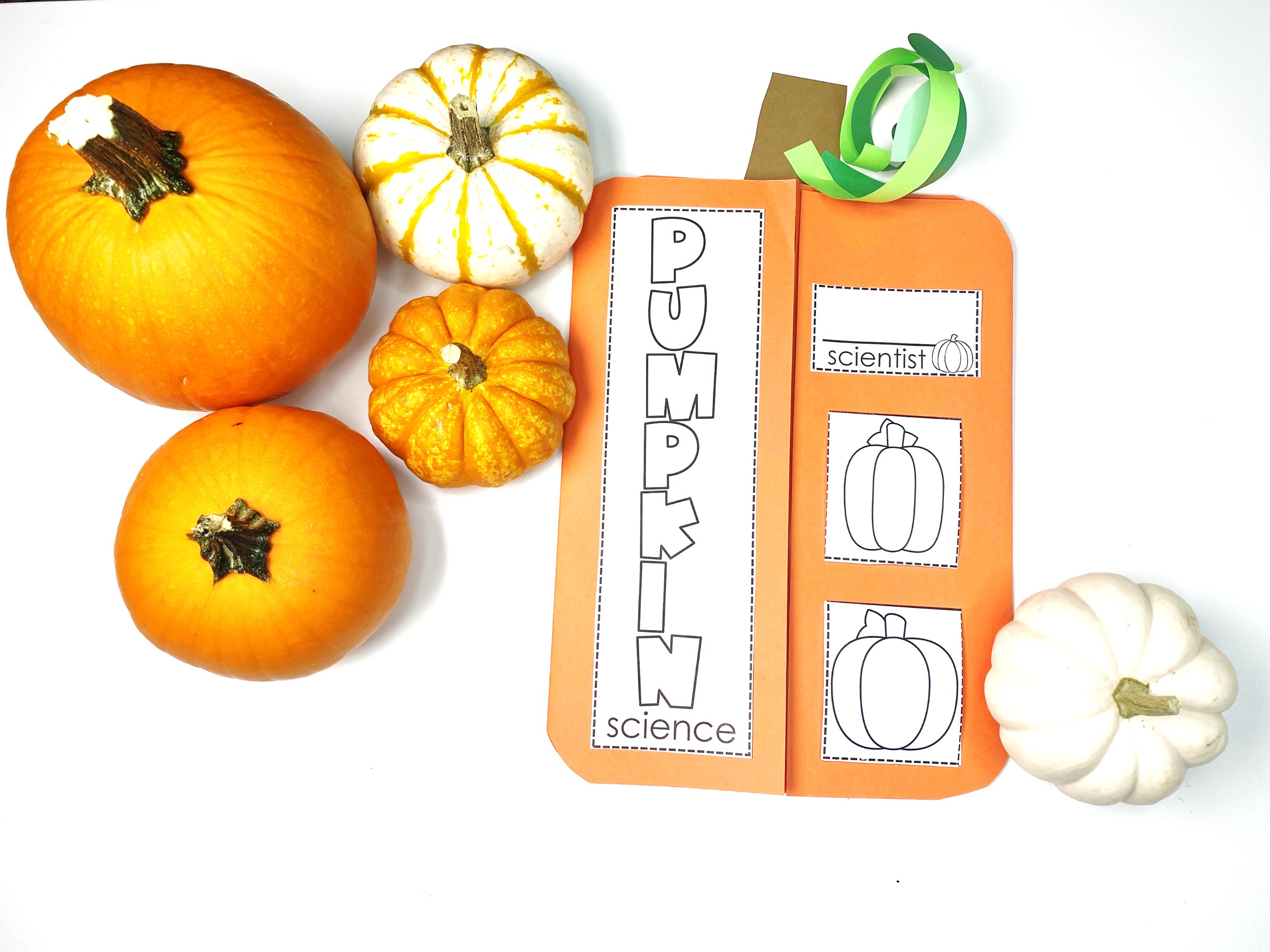 pumpkin-themed learning